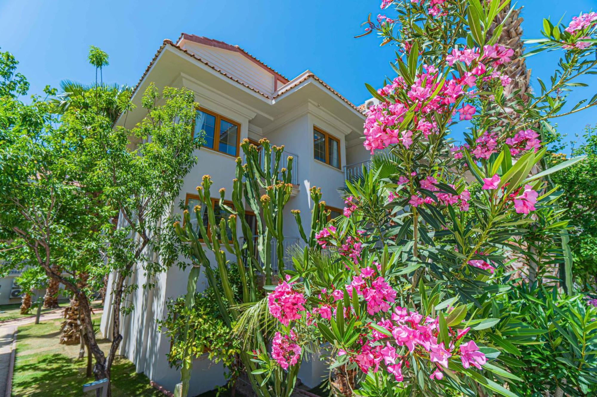 Hotel Dream Of Oludeniz